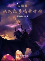 《大海贼从挖凯多墙角开始》小说封面