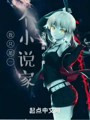 《我只是一个小说家》小说封面