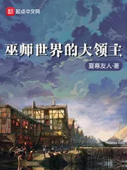 《巫师世界的大领主》小说封面