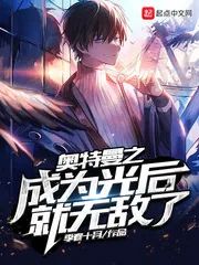 《奥特曼之光影旅行者》小说封面
