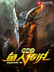 《海贼之鱼人传说》小说封面