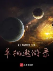 《单机遨游录》小说封面