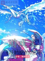 《游戏王之飞跃时空的D轮手》小说封面