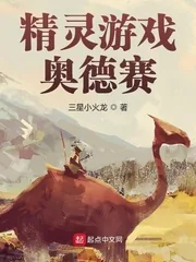 《精灵游戏：奥德赛》小说封面