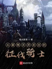 《从霍格沃茨走出的征伐骑士》小说封面