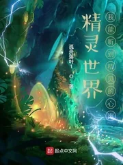 《精灵世界：我能听到精灵的心声》小说封面