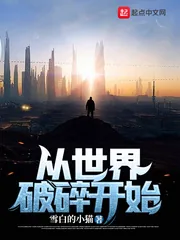 《从世界破碎开始》小说封面