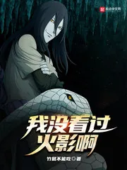 《我没看过火影啊》小说封面