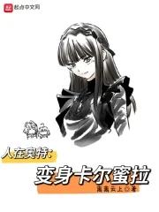 《人在奥特，变成卡尔蜜拉》小说封面