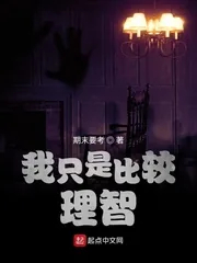 《我只是比较理智》小说封面