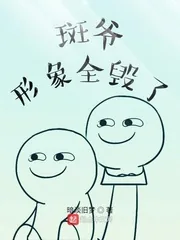 《木叶：斑爷形象全毁了》小说封面