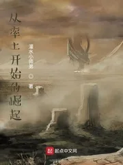 《从率土开始的崛起》小说封面