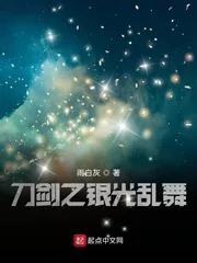 《刀剑之银光乱舞》小说封面