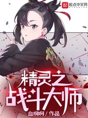 《精灵之战斗大师》小说封面