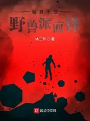 《我真不是野兽派前锋》小说封面