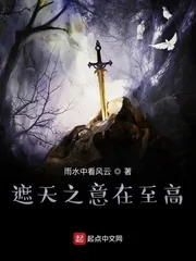 《遮天之意在至高》小说封面