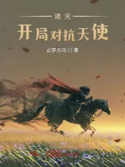 《诸天：开局对抗天使》小说封面