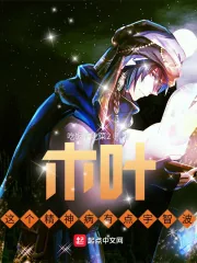《木叶：这个精神病有点宇智波》小说封面