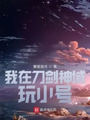 《我在刀剑神域玩小号》小说封面