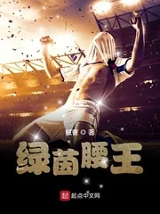 《绿茵腰王》小说封面