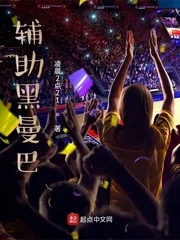 《辅助黑曼巴》小说封面