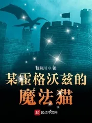《某霍格沃兹的魔法猫》小说封面