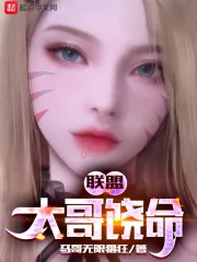 《联盟：大哥饶命》小说封面