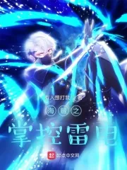 《海贼之掌控雷电》小说封面