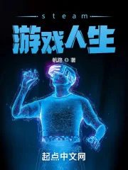 《steam游戏人生》小说封面
