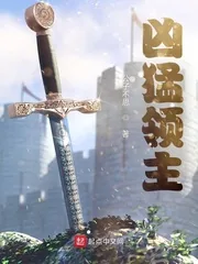 《凶猛领主》小说封面