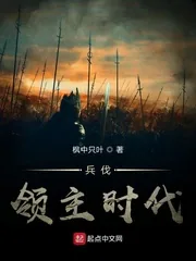 《兵伐领主时代》小说封面