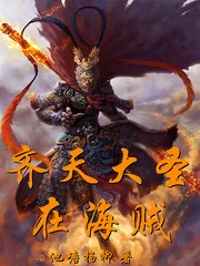 《齐天大圣在海贼》小说封面
