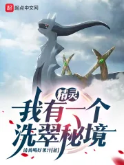 《精灵：我有一个洗翠秘境》小说封面