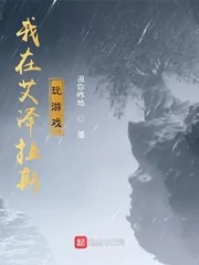 《我在艾泽拉斯玩游戏》小说封面
