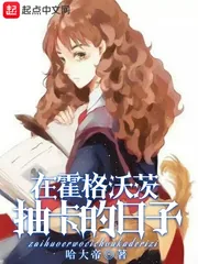 《在霍格沃茨抽卡的日子》小说封面