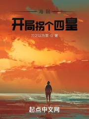 《海贼：开局拐个四皇》小说封面