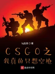 《CSGO之我真的只想空枪》小说封面