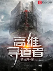 《高维寻道者》小说封面