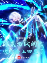 《卧底海贼的我快要当上四皇了》小说封面