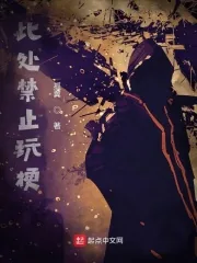 《此处禁止玩梗》小说封面