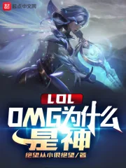 《LOL：OMG为什么是神》小说封面