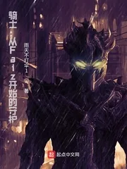 《骑士：从Faiz开始的守护》小说封面