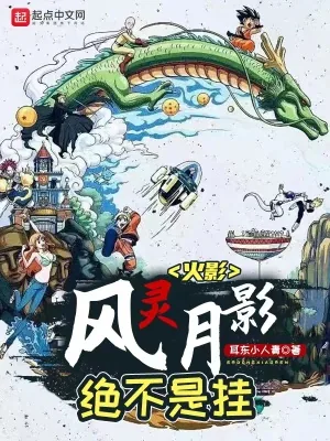 《火影：风灵月影绝不是挂》小说封面