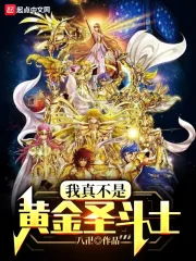 《我真不是黄金圣斗士》小说封面