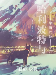 《哈利波特与军情六处》小说封面