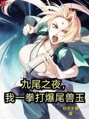 《九尾之夜，我一拳打爆尾兽玉》小说封面