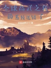 《全球高武之我的系统送错了》小说封面