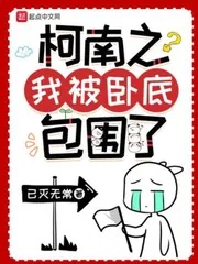 《柯南之我被卧底包围了》小说封面