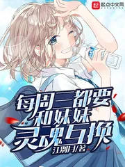 《每周三都要进行灵魂互换》小说封面