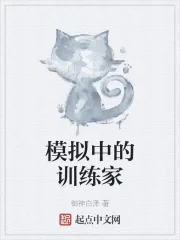 《模拟中的训练家》小说封面
